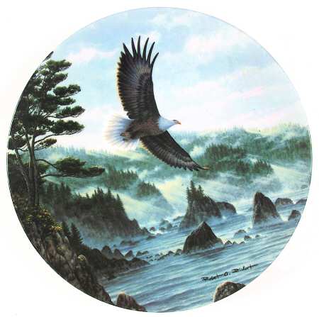 Americas Pride Rugged Shores - No Box