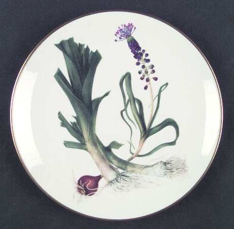 Fruits and Vegetables Onion Chives - Boxed