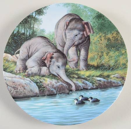 Tomorrows Promise Curiosity:Asian Elephants - With Box