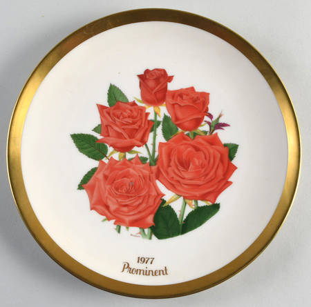 All America Plate Prominent - No Box