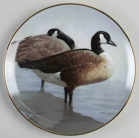 North American Waterbirds Canada Geese - No Box
