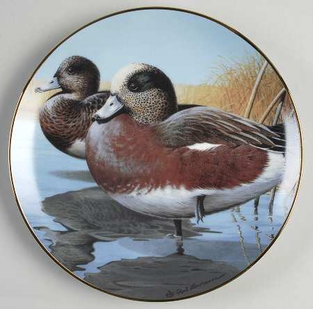 North American Waterbirds American Widgeons - Boxed