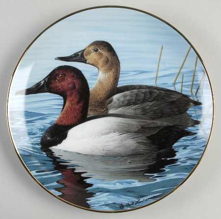 North American Waterbirds Canvasback - Boxed