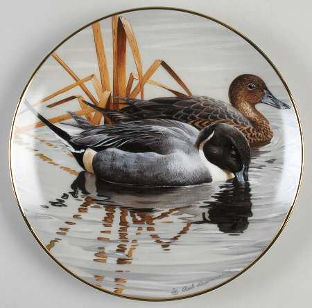 North American Waterbirds Pintails - No Box