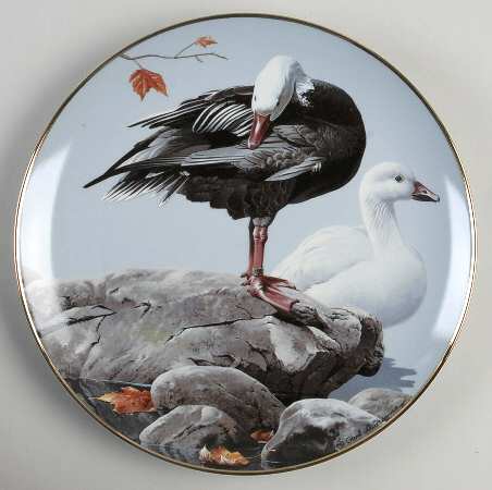 North American Waterbirds Snow Geese - No Box