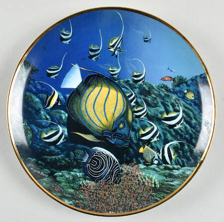 Coral Paradise Tropical Pagentry - No Box