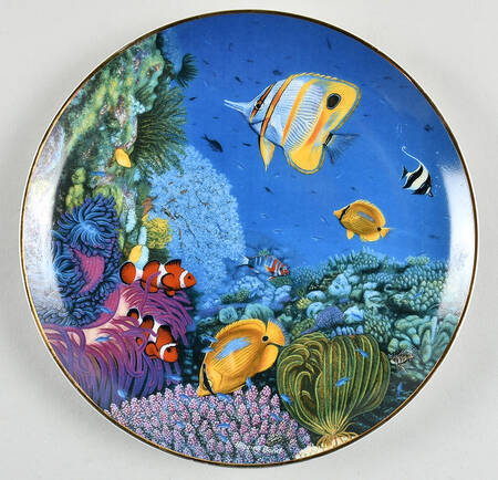 Coral Paradise Riches Of The Coral Sea - No Box