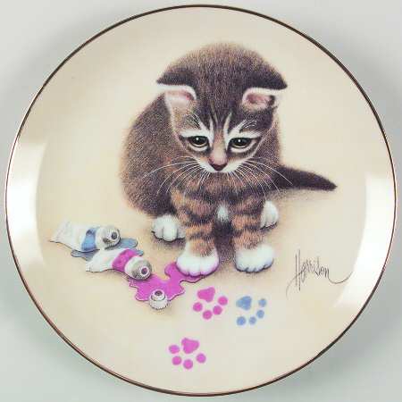 Curious Kittens Making Tracks - No Box