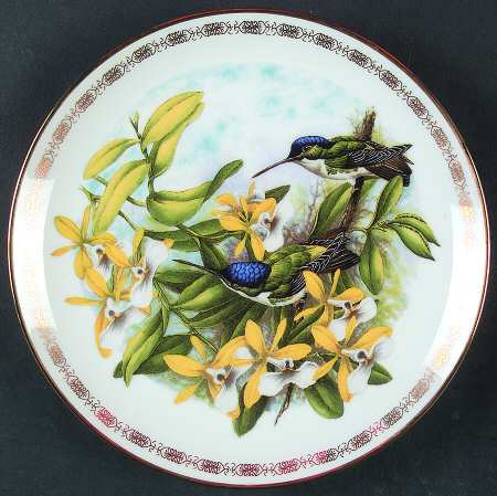 Jeweled Hummingbirds Andean Emerald  - Boxed