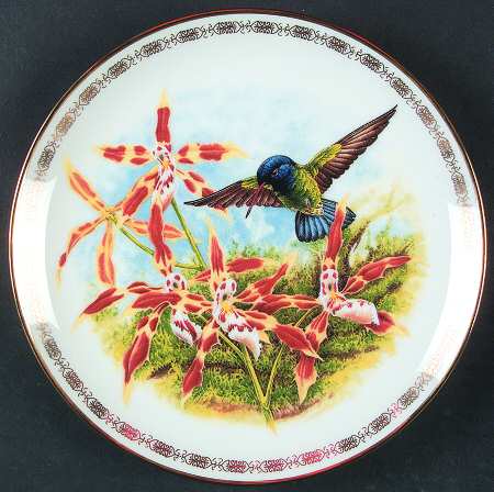 Jeweled Hummingbirds Blue Headed Sapphire - Boxed