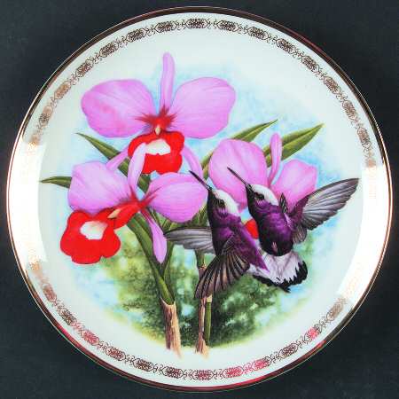 Jeweled Hummingbirds Pearl Coronet Hummingbird - Boxed