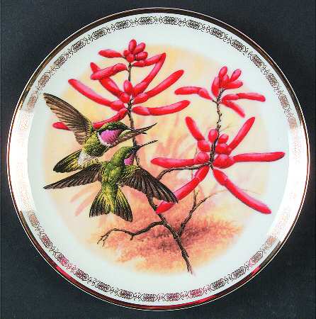 Jeweled Hummingbirds Amethyst Throated Sunangels - Boxed