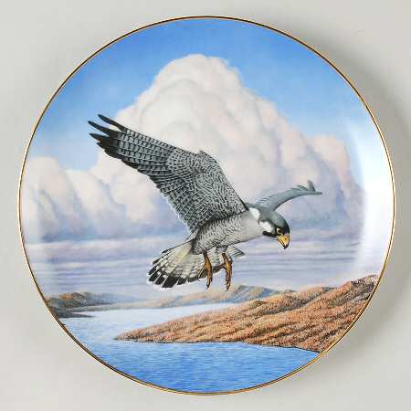 Majesty of Flight Coastal Journey - Boxed