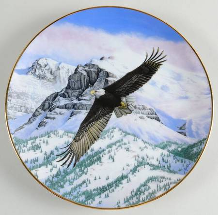 Majesty of Flight The Eagle Soars - With Box