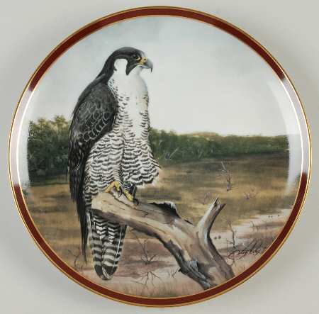Majestic Bird of Prey Peregrine Falcon - No Box