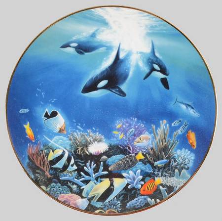 Under The Sea Orca Odyssey - No Box