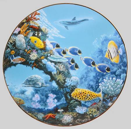 Under The Sea Beauty Of The Reef - No Box