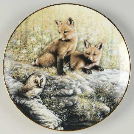 Woodland Encounters Nature Scouts - Boxed