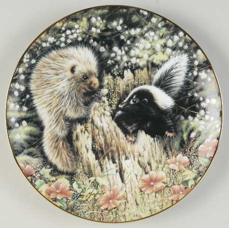 Woodland Encounters Hi Neighbor - Boxed
