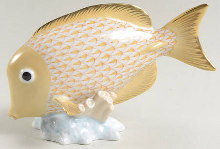 Fish Surgeon Fish-Butterscotch - No Box