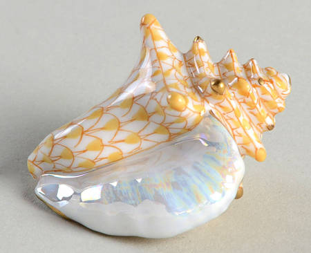 Shells Small Conch Shell-Butterscotch - No Box