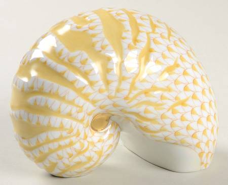 Shells Nautilus Shell-Butterscotch - No Box