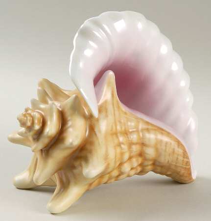 Shells Conch Shell-Natural - No Box