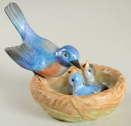 Birds Bluebird On Nest With Baby Birds - No Box