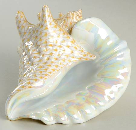 Shells Conch Shell-Butterscotch - No Box