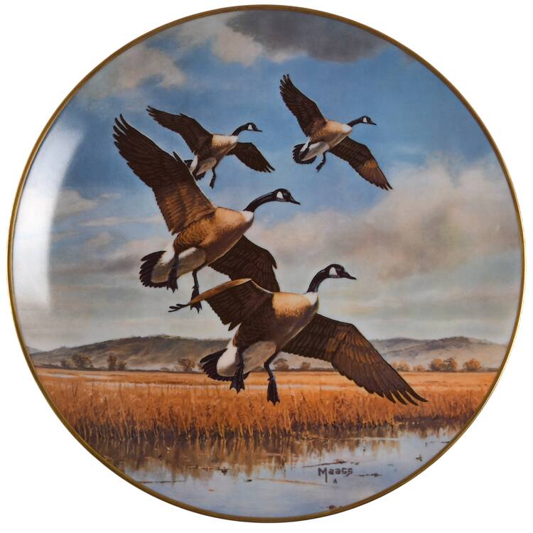 Wilderness Wings Gliding In - No Box