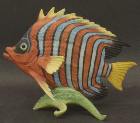 Fish Butterfly Fish - With Box
