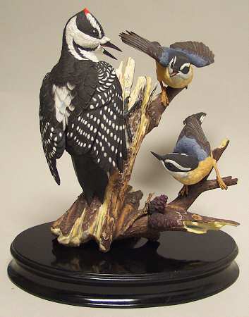 Gunther Granget Birds Woodpecker & Nuthatches (Friendly Enemie - Boxed