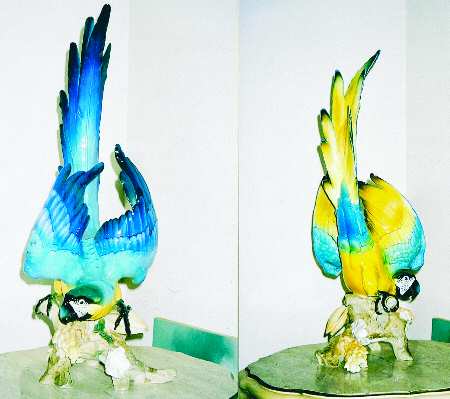 Birds Yellow Breasted Ara (Macaw) - Boxed