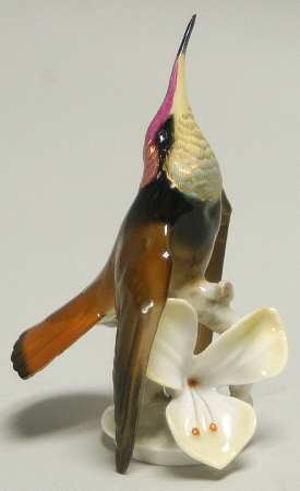 Birds Hummingbird - Boxed