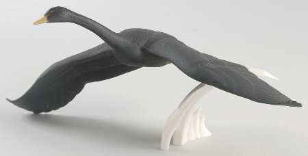 Gunther Granget Birds Black Swan - No Box