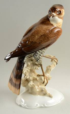 Birds Sparrow Hawk - Boxed