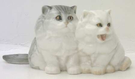 Cats Persian Kittens - Boxed