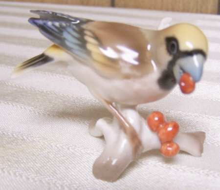 Gunther Granget Birds Crossbeak - Boxed