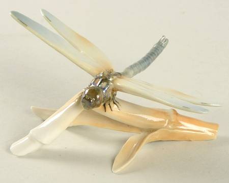 Butterflies & Insects Dragonfly - Boxed