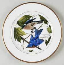 Ruthven Songbirds Eastern Bluebird - No Box