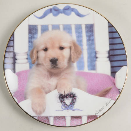 Golden Puppy Portraits Time For Bed - No Box