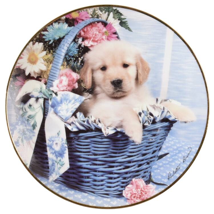 Golden Puppy Portraits A Golden Bouquet - No Box