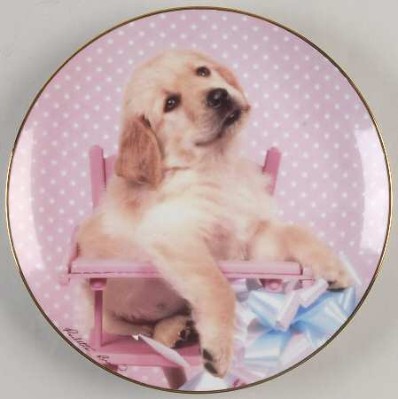 Golden Puppy Portraits Table Manners - Boxed