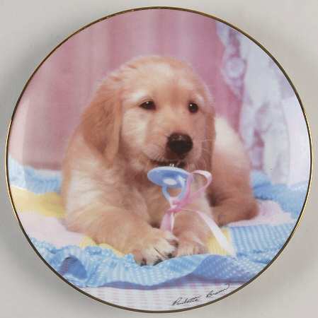 Golden Puppy Portraits Teething Time - Boxed
