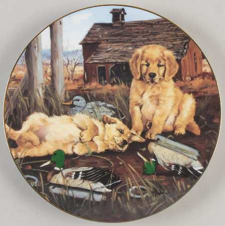 Golden Discoveries Decoy Dilemma - Boxed