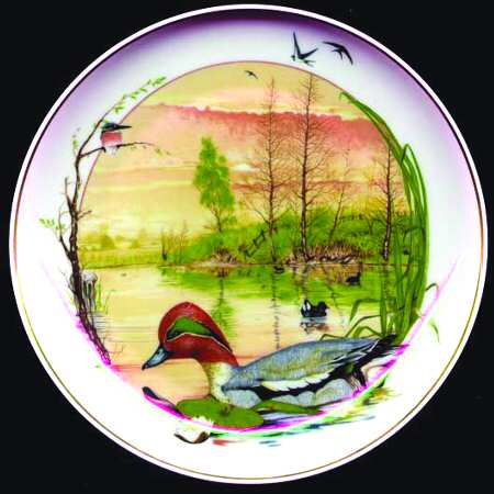 Birds of The Country Year May - Boxed