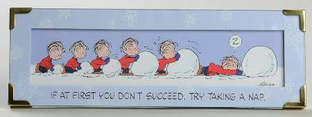 Peanuts Gallery Don't Give Up! - Boxed