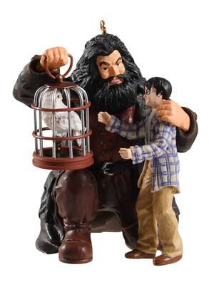 Harry Potter Harry! Happy Birthday! - Boxed