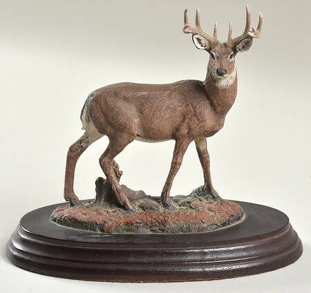 Majestic Wildlife of North America White-Tailed Deer - With Box