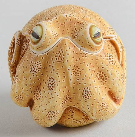 Roly Polys Orson - Boxed